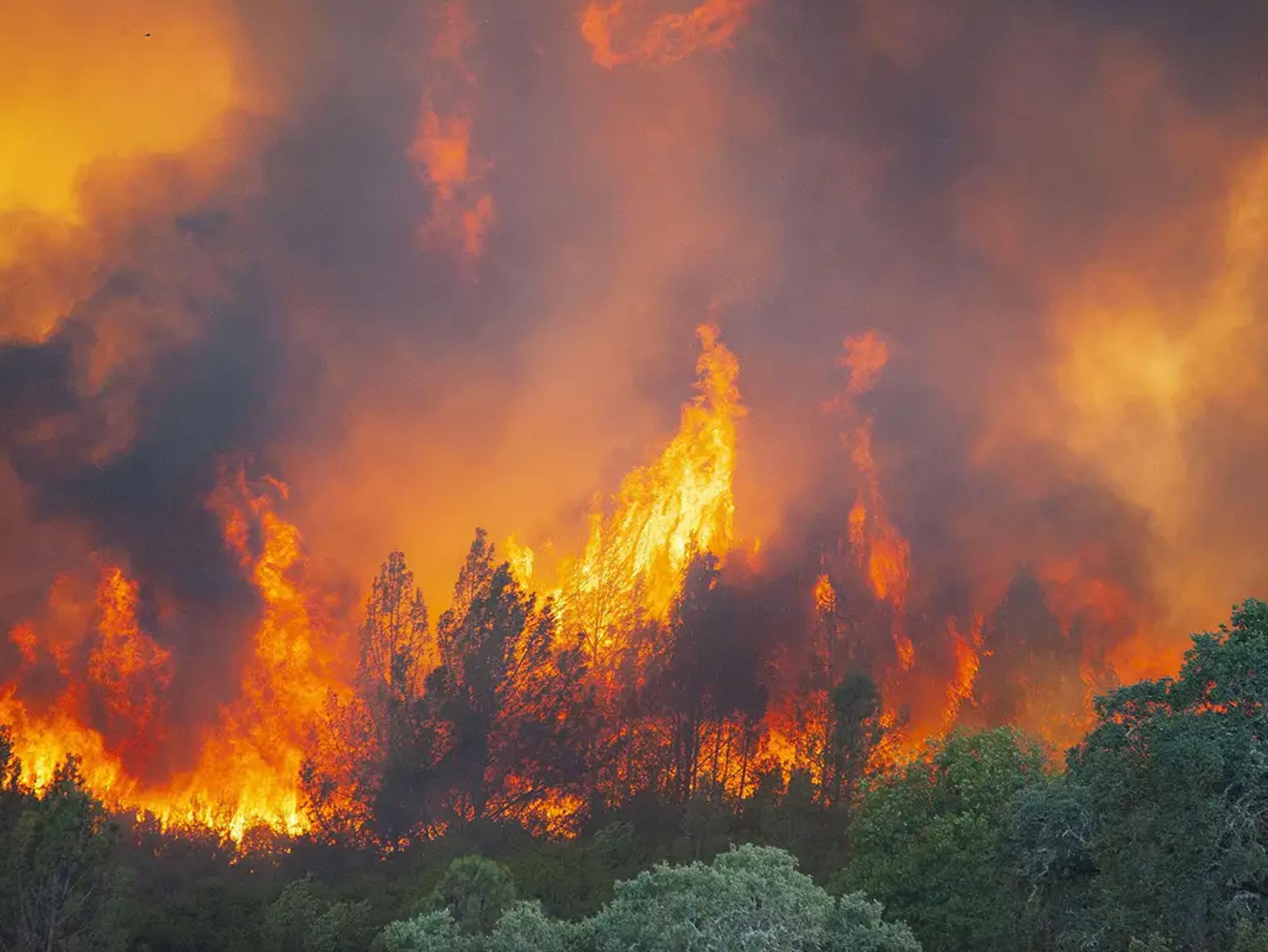 28 Disastrous Photos of the California Wildfires